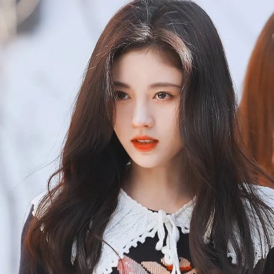 在无爱之森呐喊：深入密森